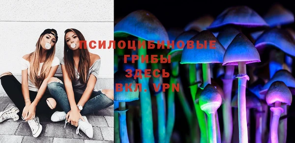 ешки Краснослободск